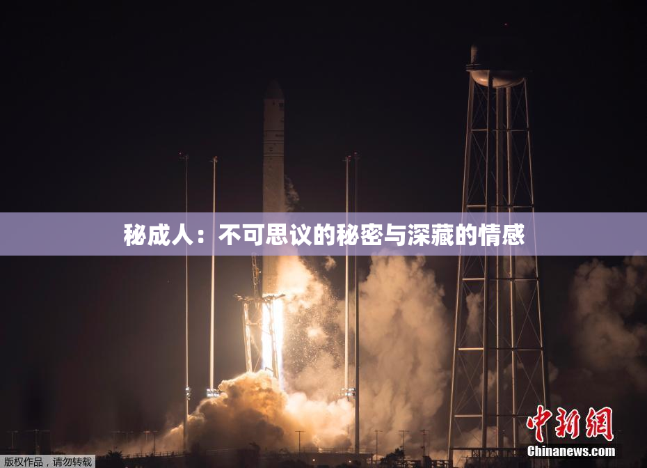 秘成人：不可思议的秘密与深藏的情感