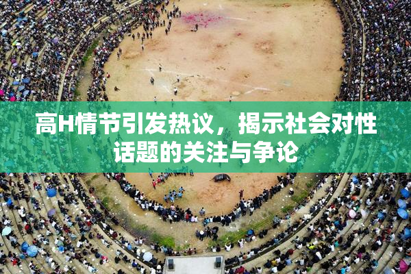 高H情节引发热议，揭示社会对性话题的关注与争论