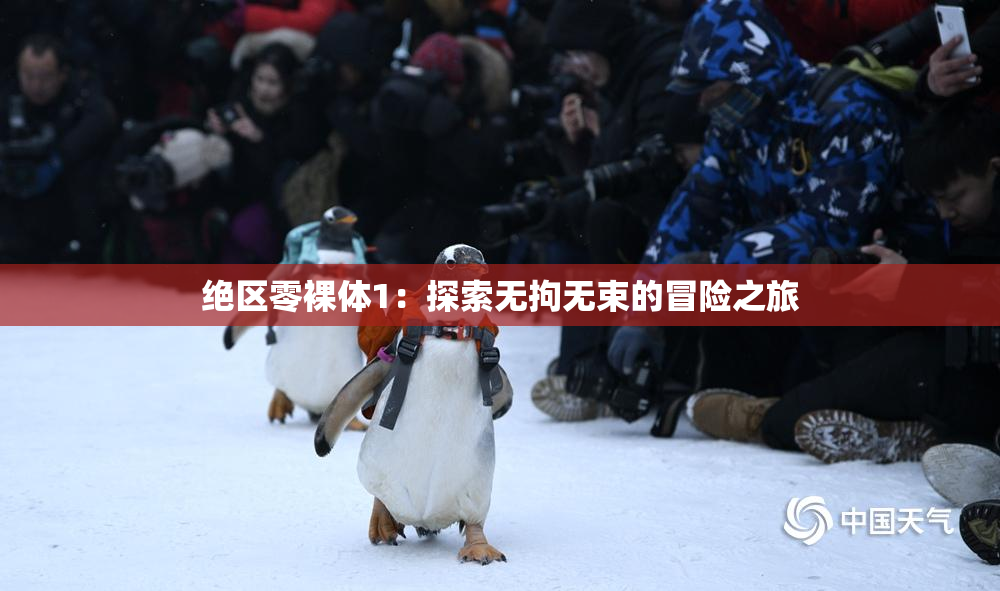 绝区零裸体1：探索无拘无束的冒险之旅