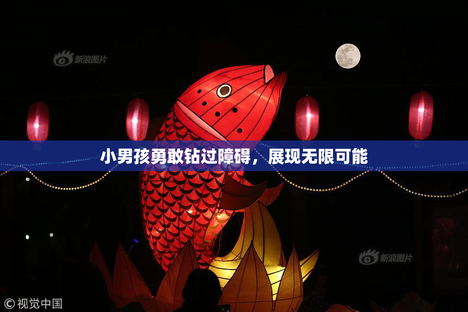 小男孩勇敢钻过障碍，展现无限可能
