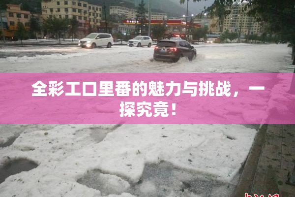 全彩工口里番的魅力与挑战，一探究竟！