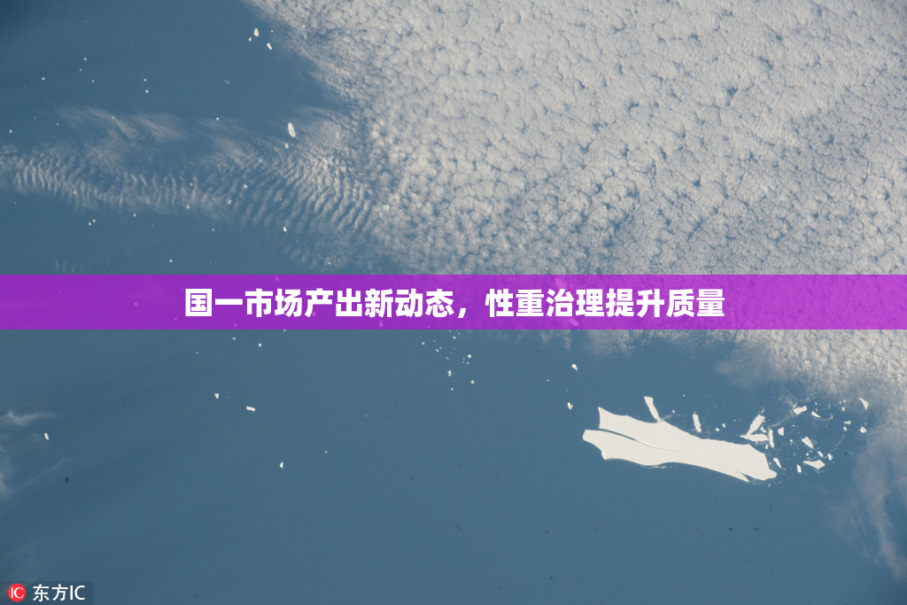 国一市场产出新动态，性重治理提升质量