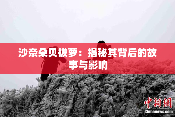 沙奈朵贝拔萝：揭秘其背后的故事与影响