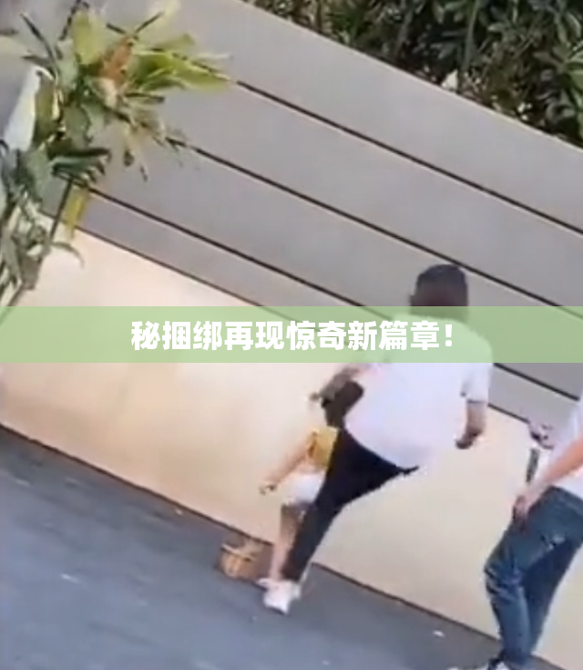 秘捆绑再现惊奇新篇章！