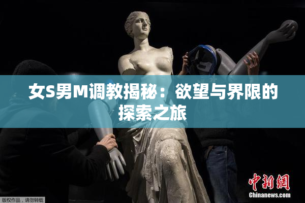 女S男M调教揭秘：欲望与界限的探索之旅