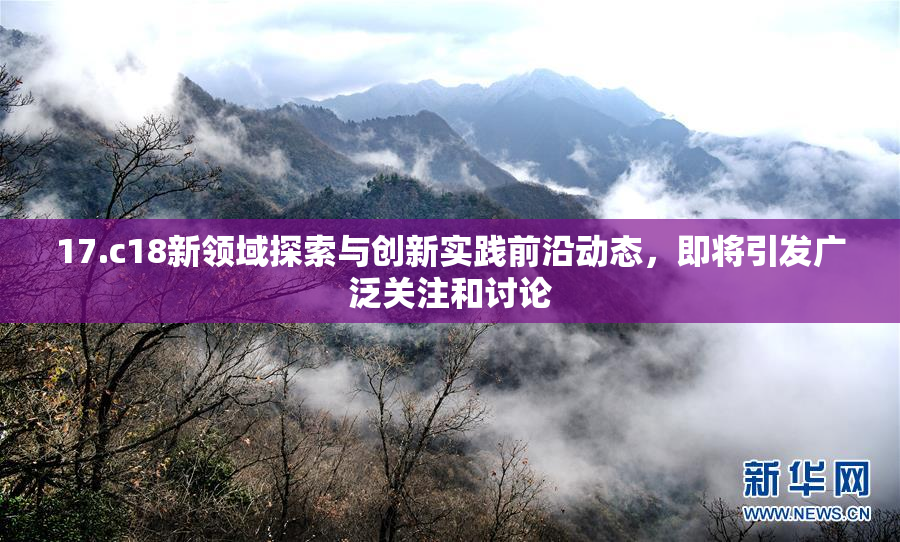 17.c18新领域探索与创新实践前沿动态，即将引发广泛关注和讨论