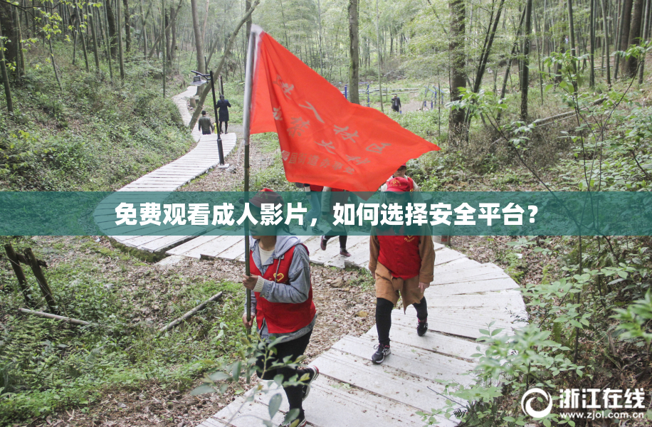 免费观看成人影片，如何选择安全平台？