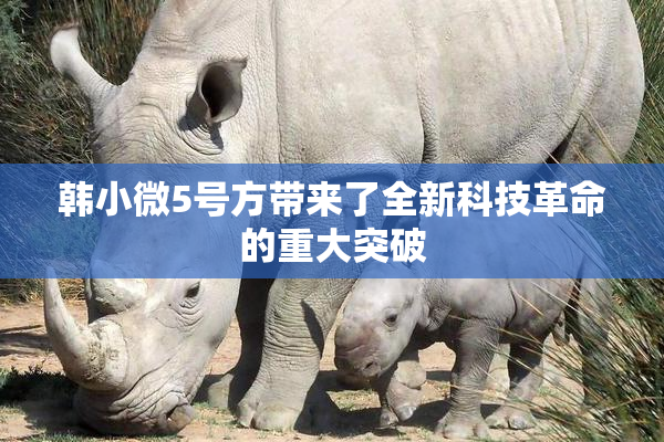 韩小微5号方带来了全新科技革命的重大突破