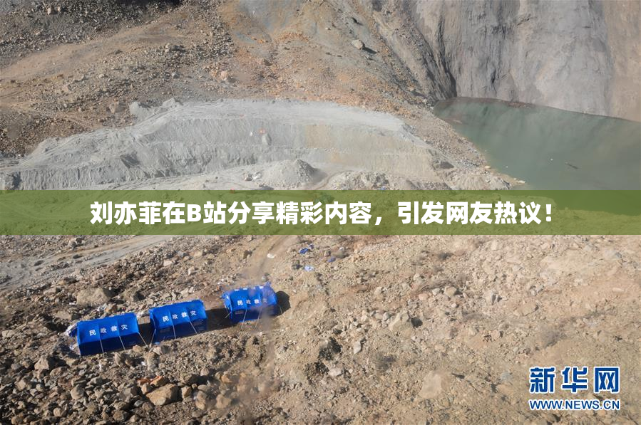 刘亦菲在B站分享精彩内容，引发网友热议！