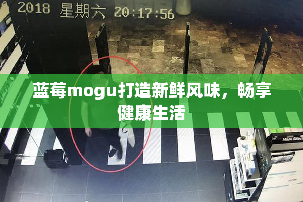 蓝莓mogu打造新鲜风味，畅享健康生活