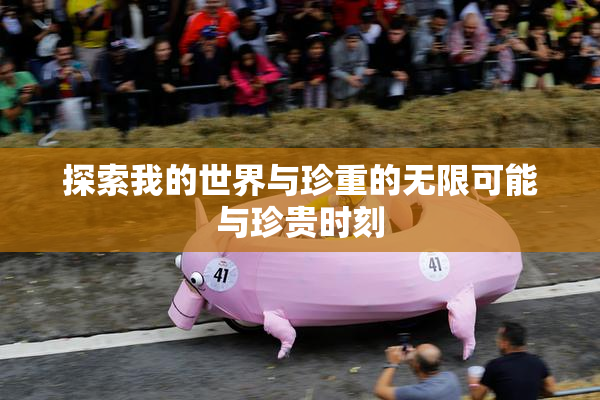 探索我的世界与珍重的无限可能与珍贵时刻