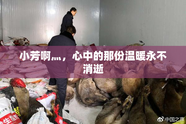 小芳啊灬，心中的那份温暖永不消逝