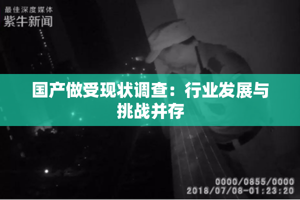 国产做受现状调查：行业发展与挑战并存
