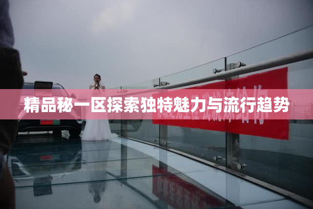 精品秘一区探索独特魅力与流行趋势
