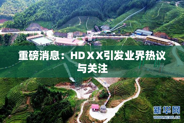 重磅消息：HDⅩX引发业界热议与关注
