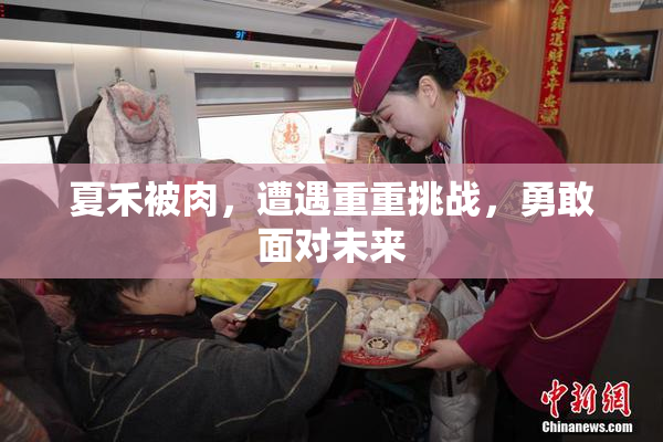 夏禾被肉，遭遇重重挑战，勇敢面对未来