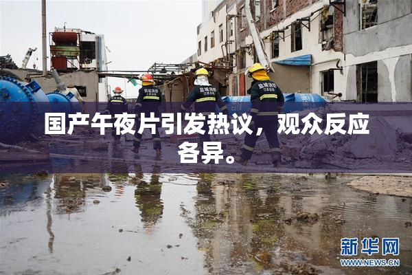 国产午夜片引发热议，观众反应各异。