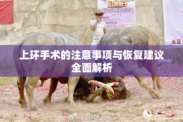 上环手术的注意事项与恢复建议全面解析