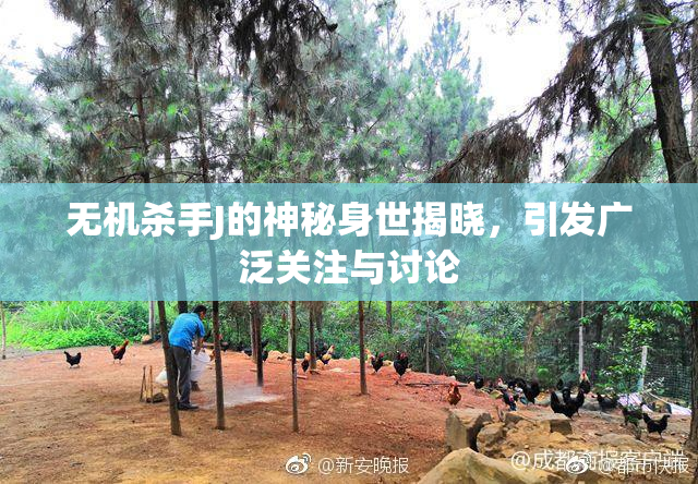 无机杀手J的神秘身世揭晓，引发广泛关注与讨论