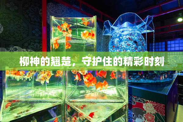 柳神的翘楚，守护住的精彩时刻