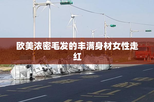 欧美浓密毛发的丰满身材女性走红