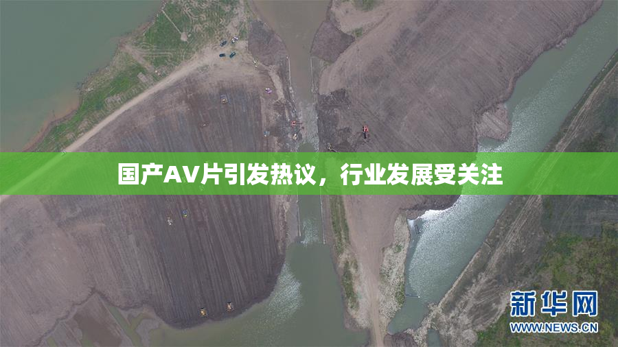 国产AV片引发热议，行业发展受关注