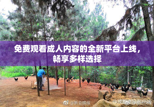 免费观看成人内容的全新平台上线，畅享多样选择