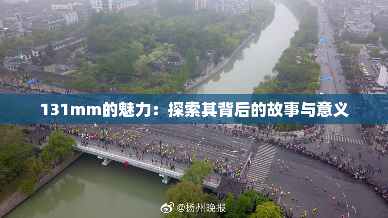 131mm的魅力：探索其背后的故事与意义