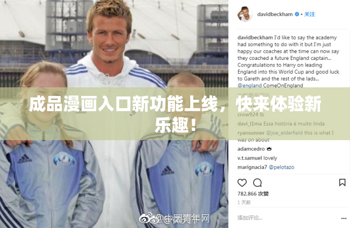 成品漫画入口新功能上线，快来体验新乐趣！