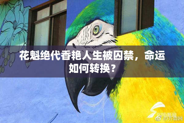 花魁绝代香艳人生被囚禁，命运如何转换？