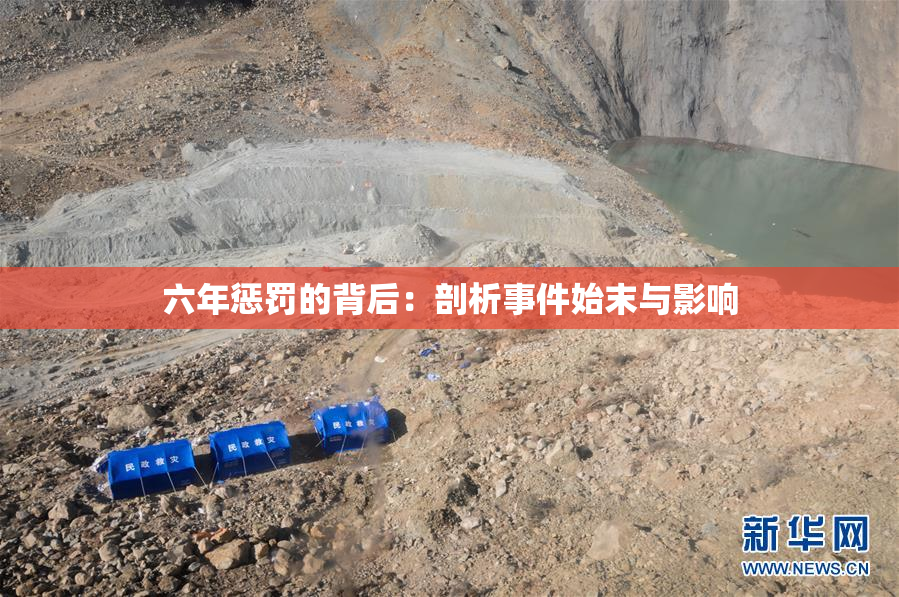 六年惩罚的背后：剖析事件始末与影响
