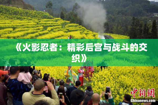 《火影忍者：精彩后宫与战斗的交织》