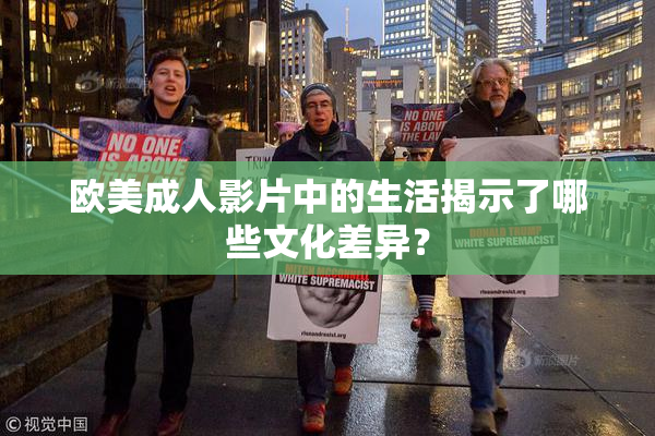 欧美成人影片中的生活揭示了哪些文化差异？