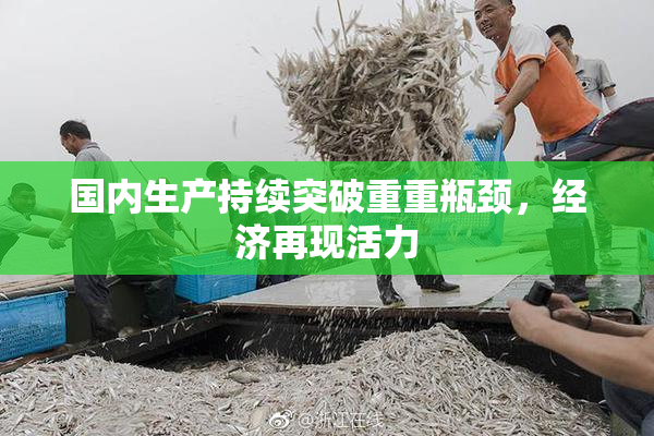 国内生产持续突破重重瓶颈，经济再现活力