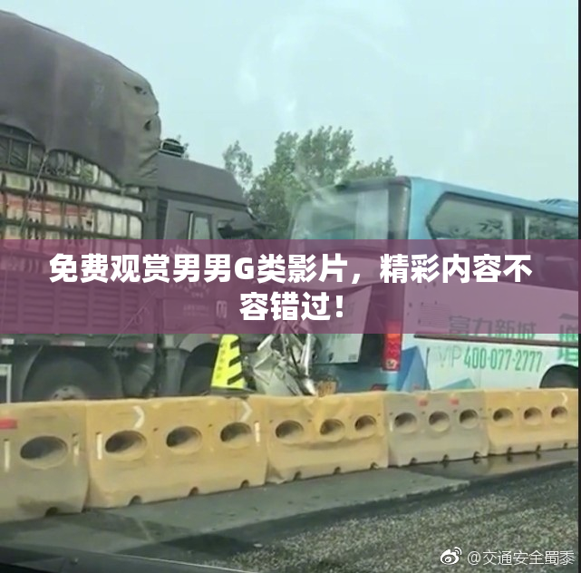 免费观赏男男G类影片，精彩内容不容错过！