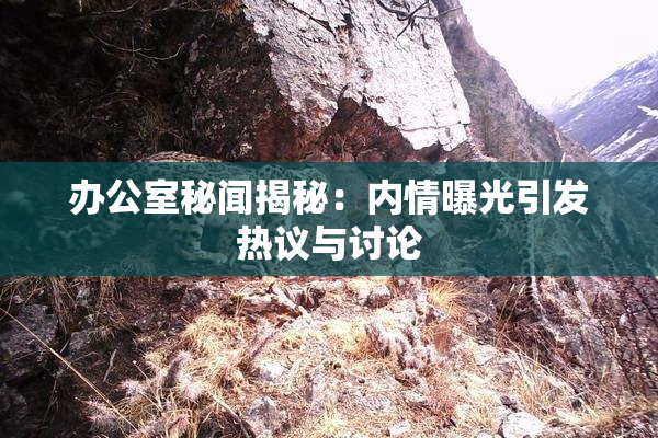 办公室秘闻揭秘：内情曝光引发热议与讨论