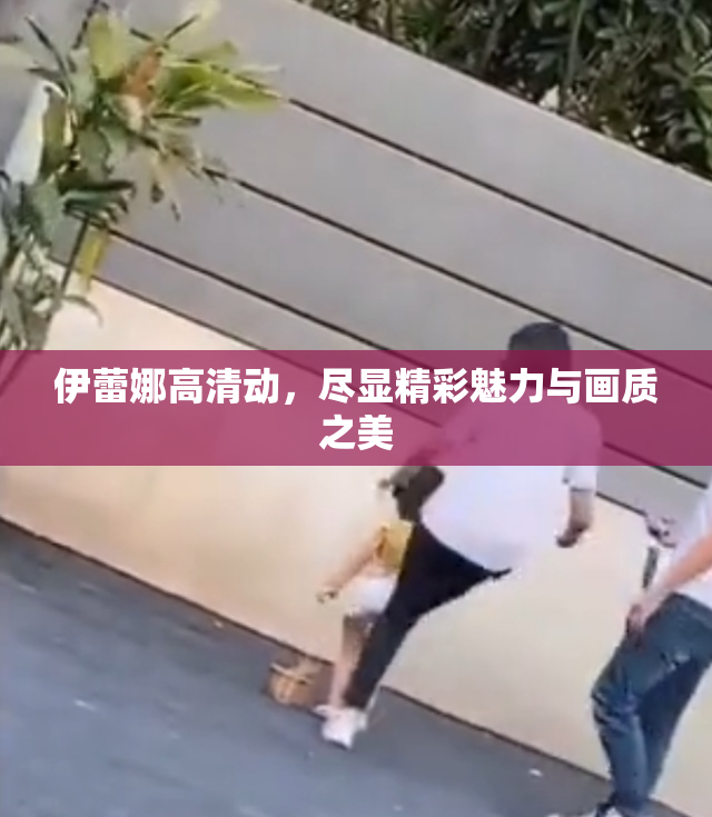 伊蕾娜高清动，尽显精彩魅力与画质之美