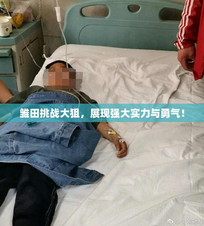 雏田挑战大狙，展现强大实力与勇气！