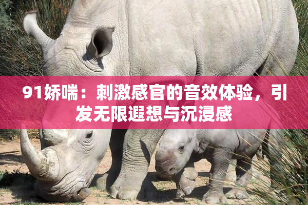 91娇喘：刺激感官的音效体验，引发无限遐想与沉浸感
