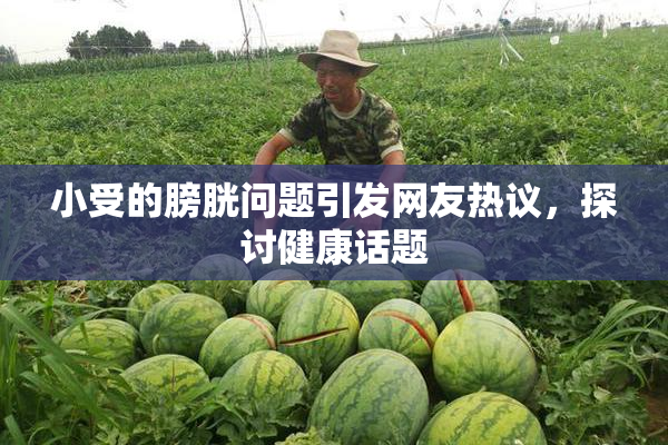 小受的膀胱问题引发网友热议，探讨健康话题
