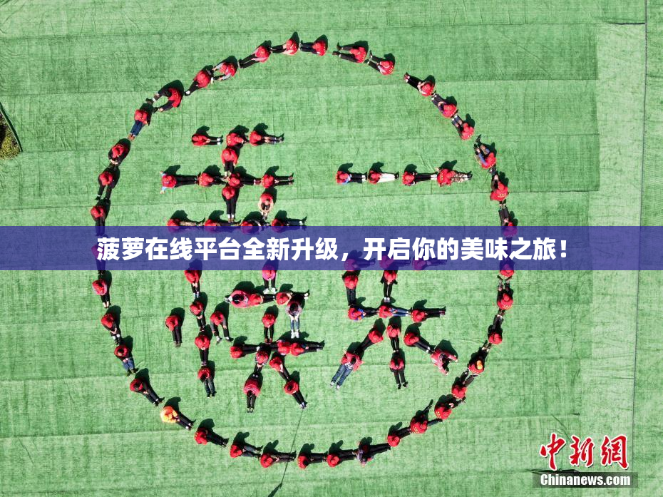 菠萝在线平台全新升级，开启你的美味之旅！