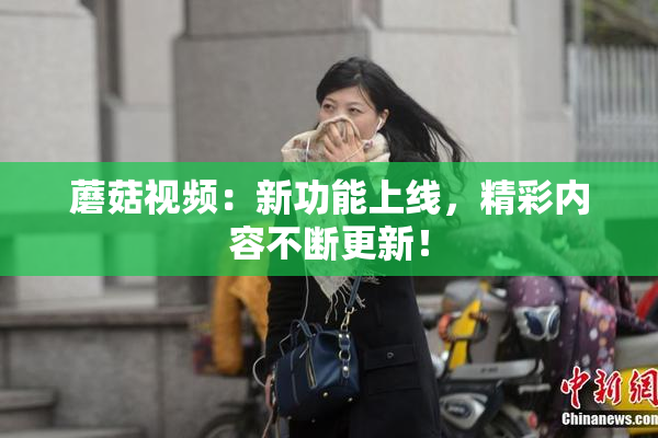 蘑菇视频：新功能上线，精彩内容不断更新！