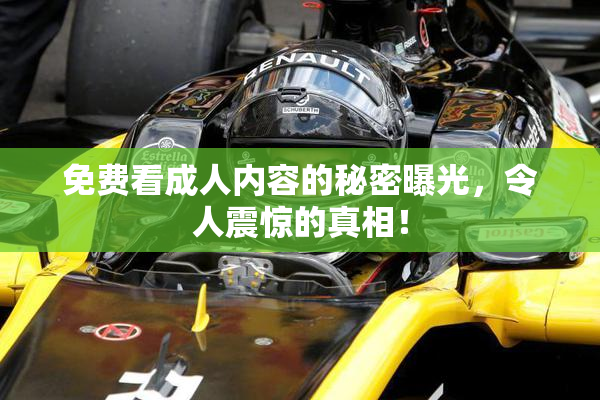 免费看成人内容的秘密曝光，令人震惊的真相！