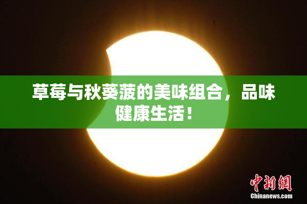 草莓与秋葵菠的美味组合，品味健康生活！