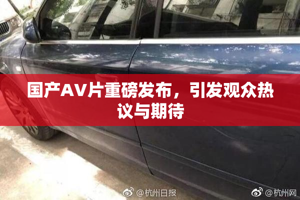 国产AV片重磅发布，引发观众热议与期待