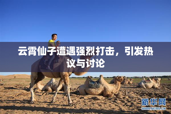 云霄仙子遭遇强烈打击，引发热议与讨论