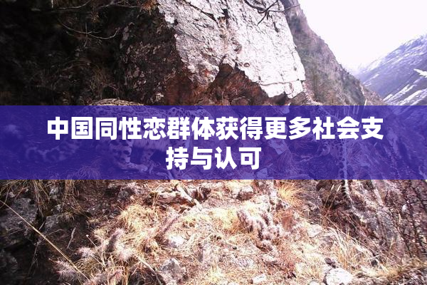 中国同性恋群体获得更多社会支持与认可