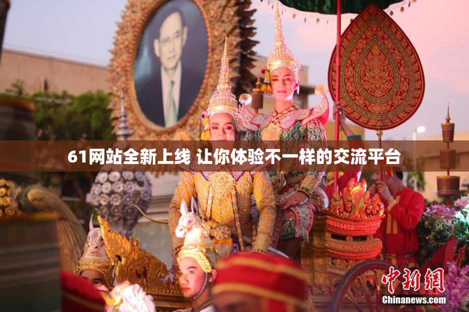 61网站全新上线 让你体验不一样的交流平台