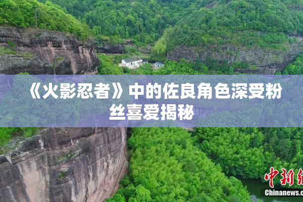 《火影忍者》中的佐良角色深受粉丝喜爱揭秘