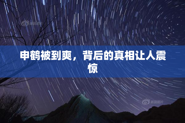 申鹤被到爽，背后的真相让人震惊